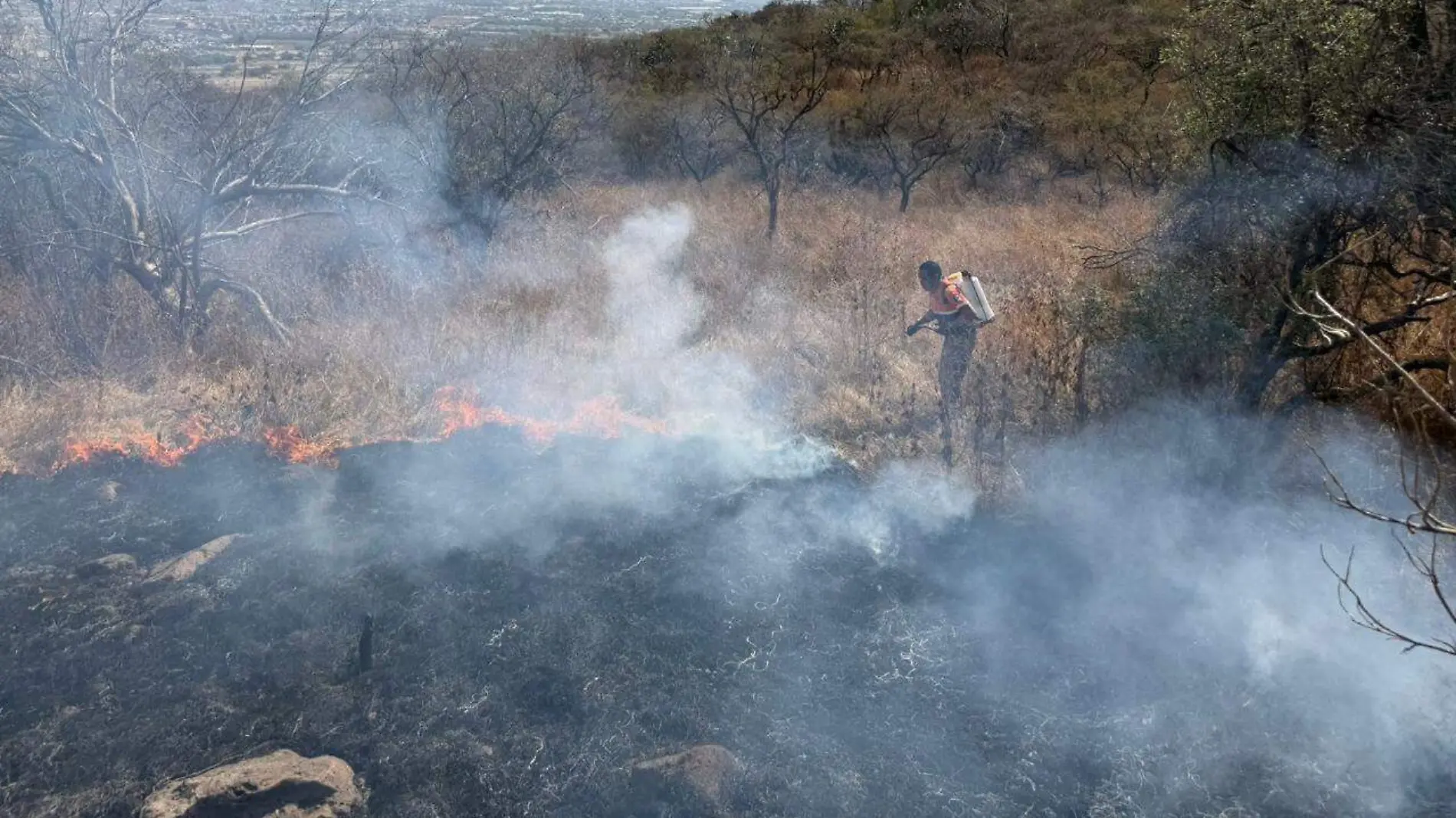 Cortesía Municipio Purísima del Rincón - INCENDIO 